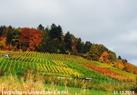 Herbsttag in Lindau